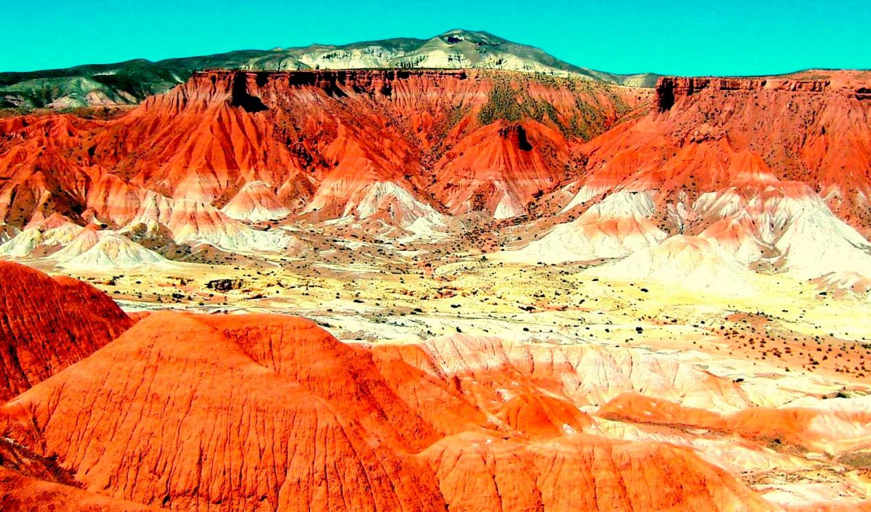 海拔1200米,保存3亿年前的化石,阿根廷月亮谷为何有外星景观?