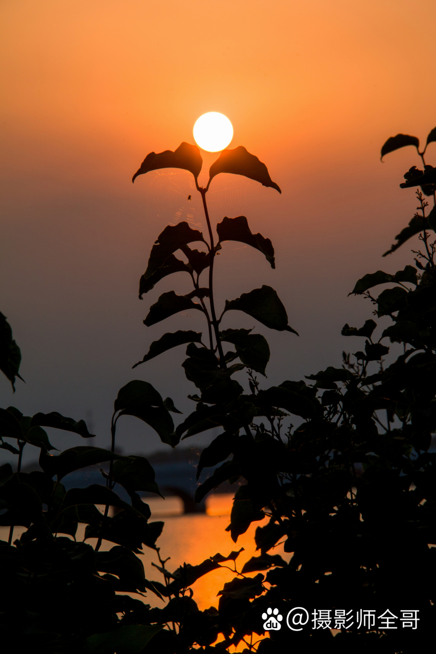 这个夕阳拍的咋样? 错位摄影.