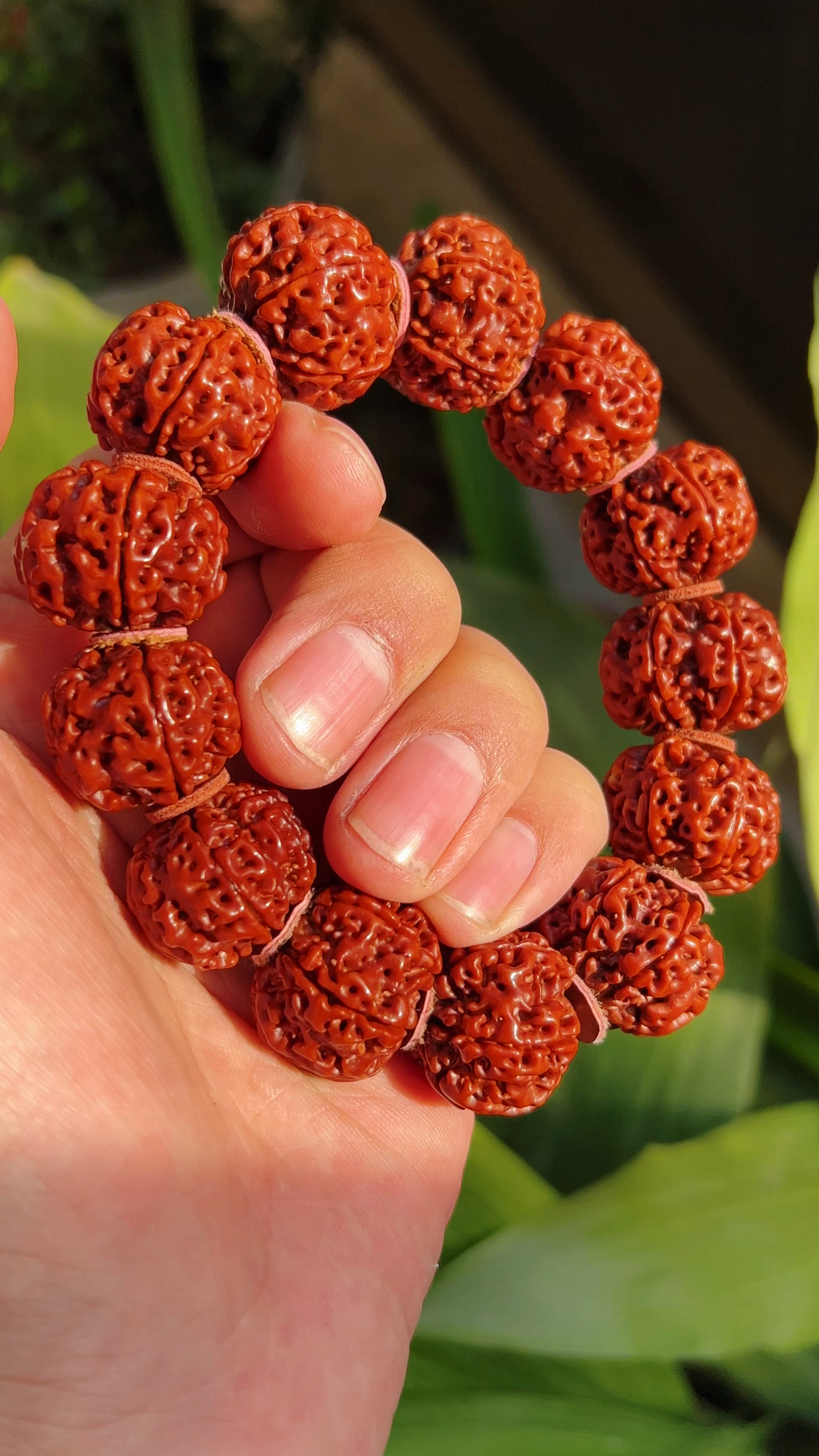 金刚菩提六瓣,盘玩四年多,近距离看看包浆!-度小视