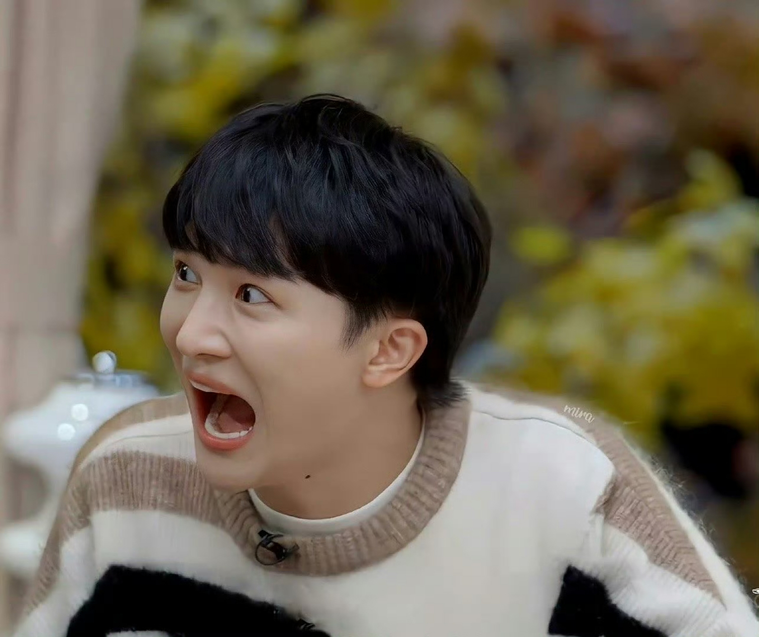 周深:尊嘟假嘟? [大笑]