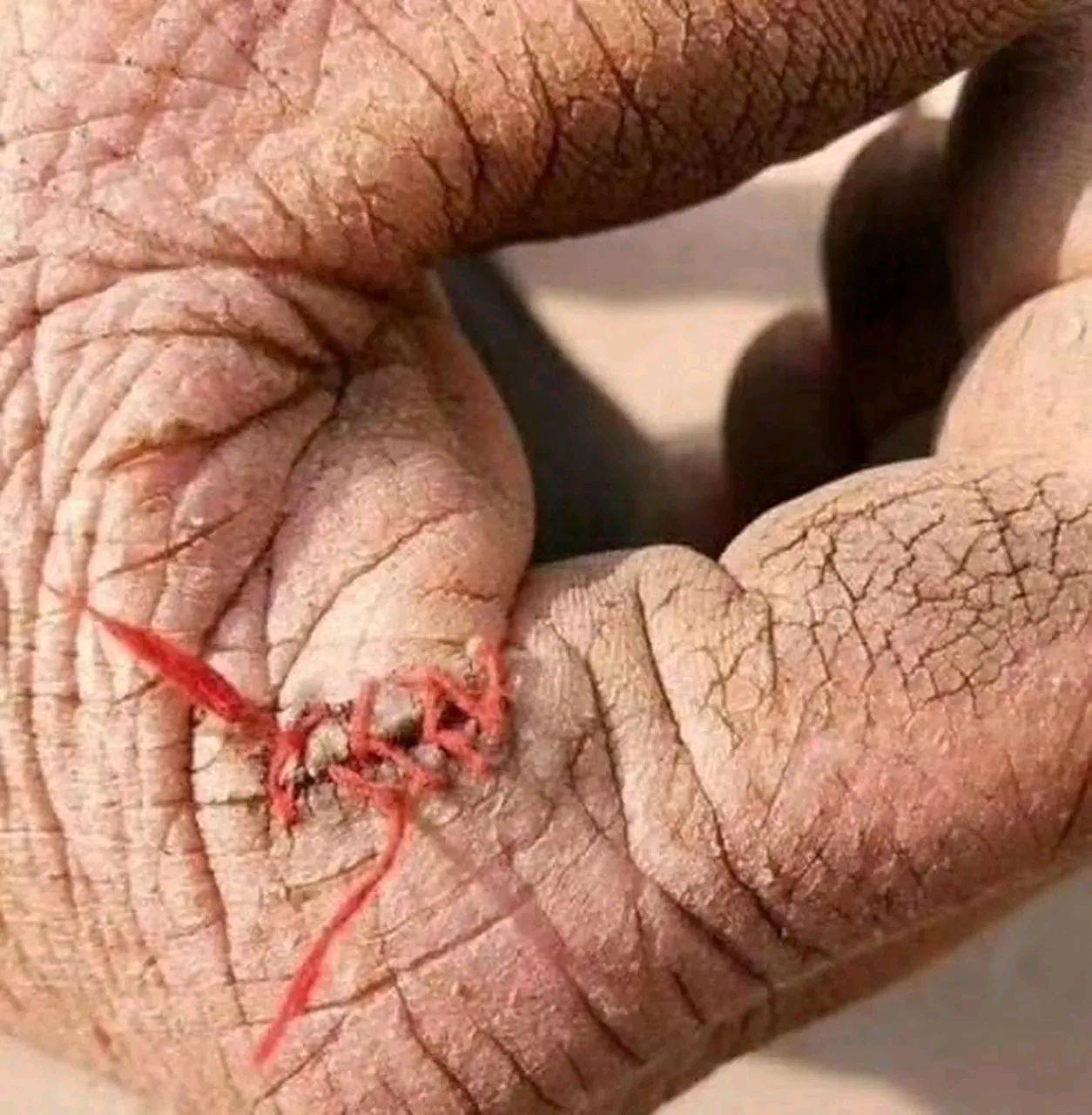 勤劳真的不能致富,选择大于努力 劳动人民的手!老农民真的辛苦,不容易