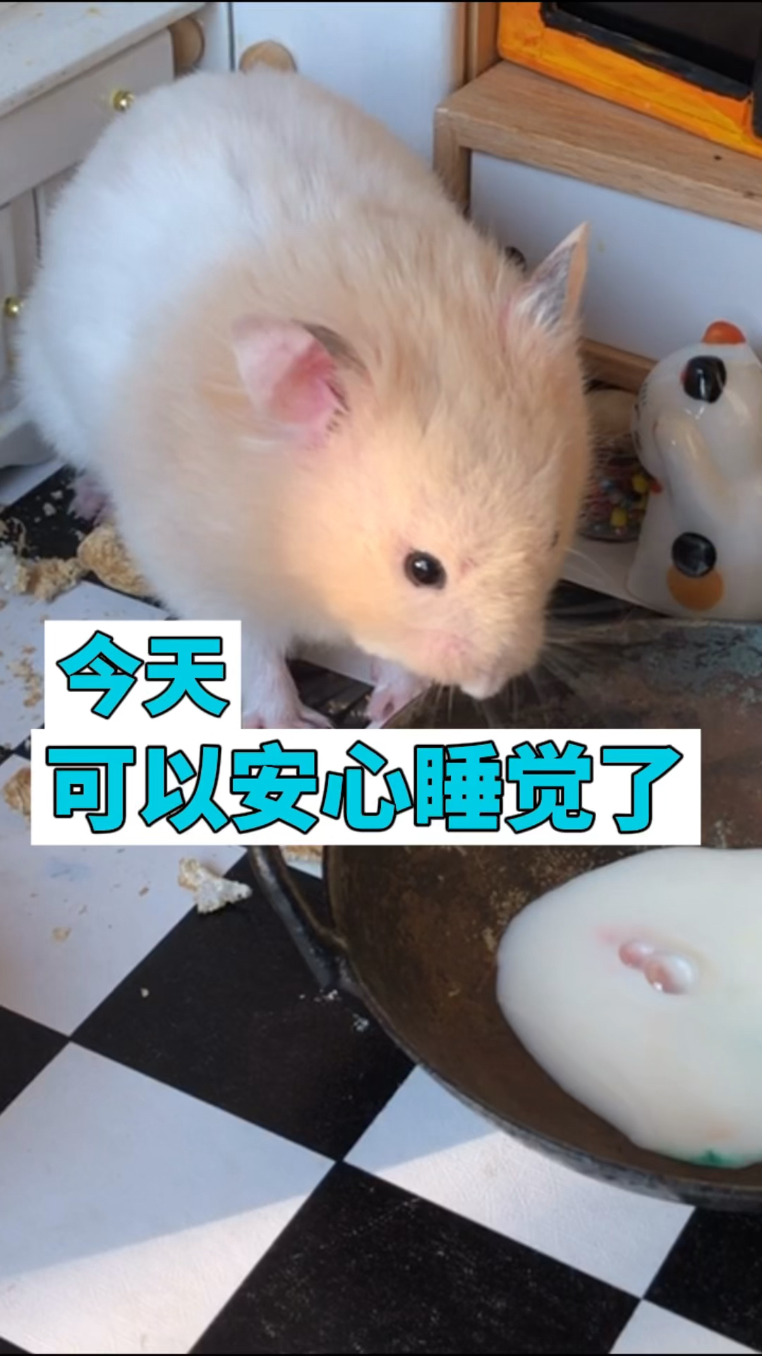 仓鼠:今天业绩还行,能安心睡觉了