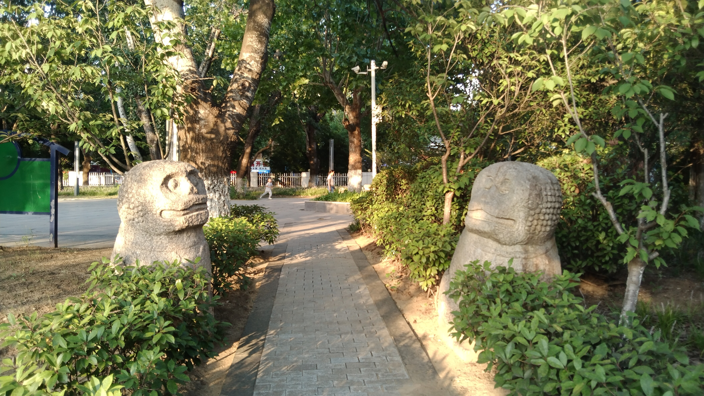 傍晚到连云港新浦公园走了走,小湖垂柳,小桥古亭,小路环绕,公园虽小