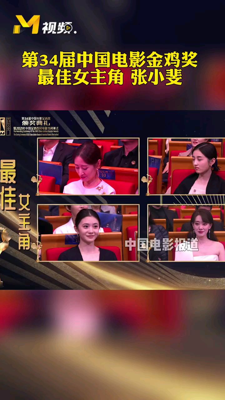 第34届中国电影金鸡奖最佳女主角张小斐