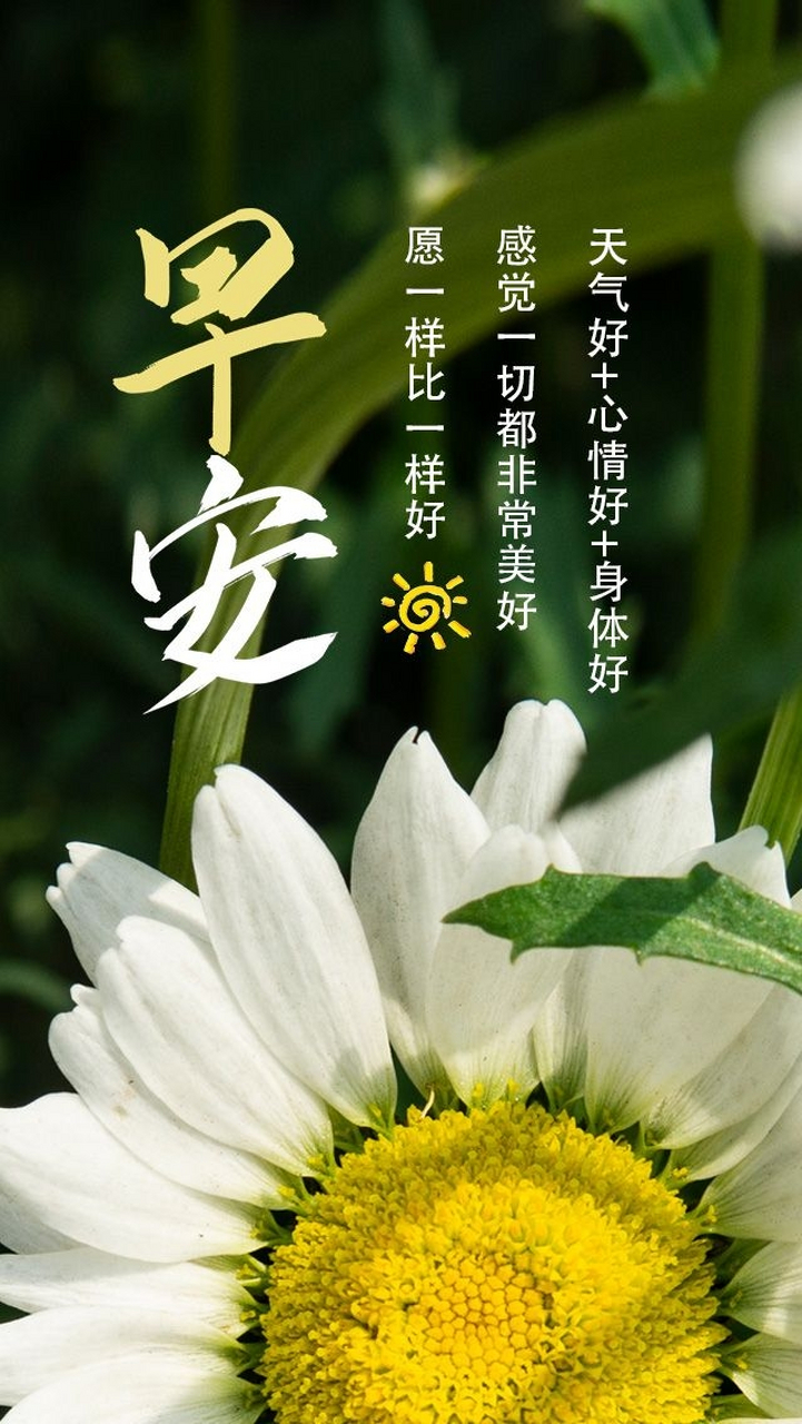 早上好,送你清新的问候,温馨的祝福,让你开启美好的一天.