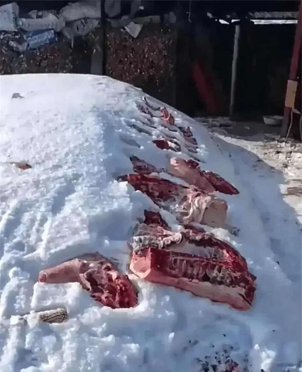 东北这么冻肉真的不会丢吗?