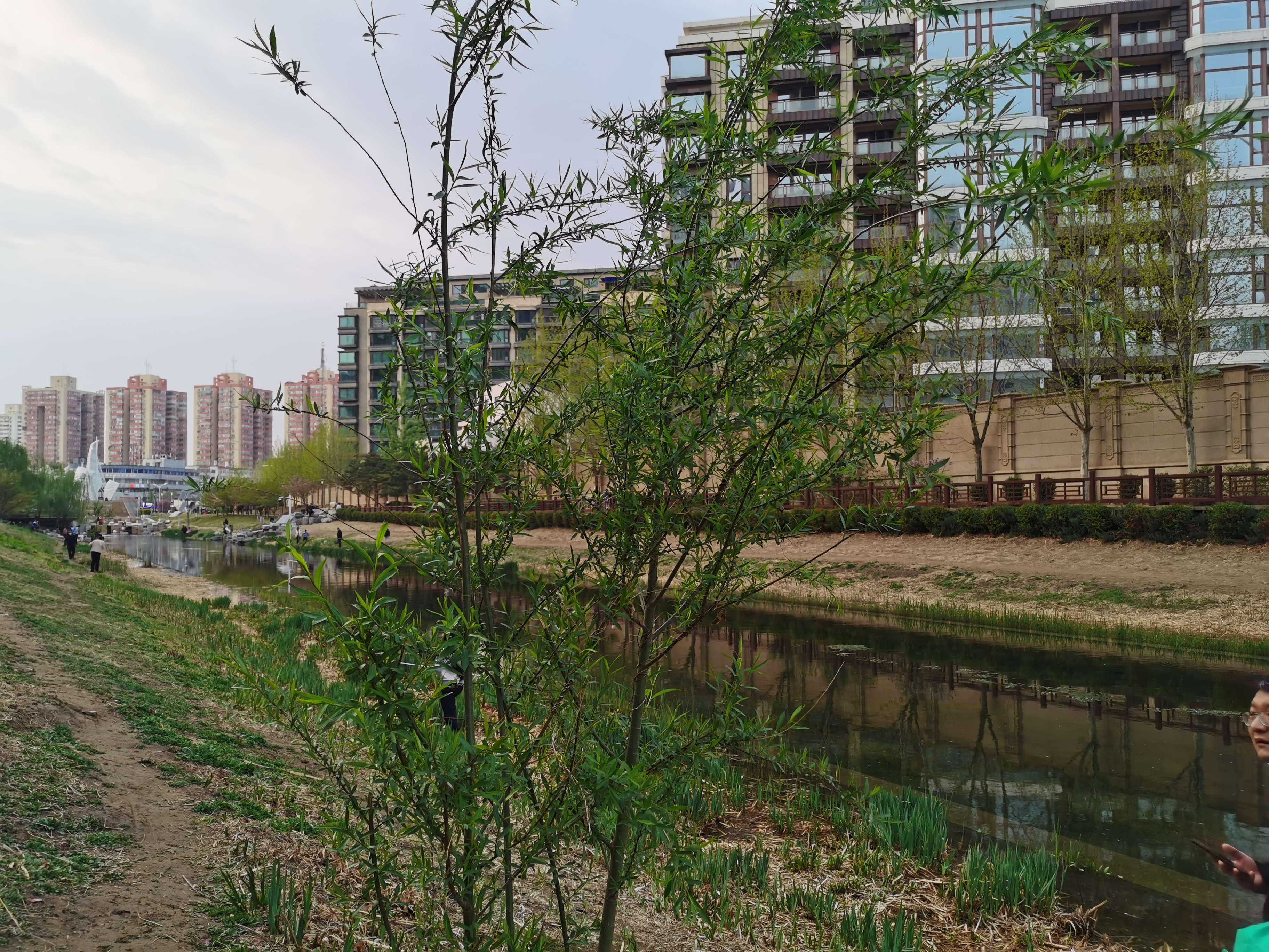 春天的萧太后河公园适合去赏花看瀑布