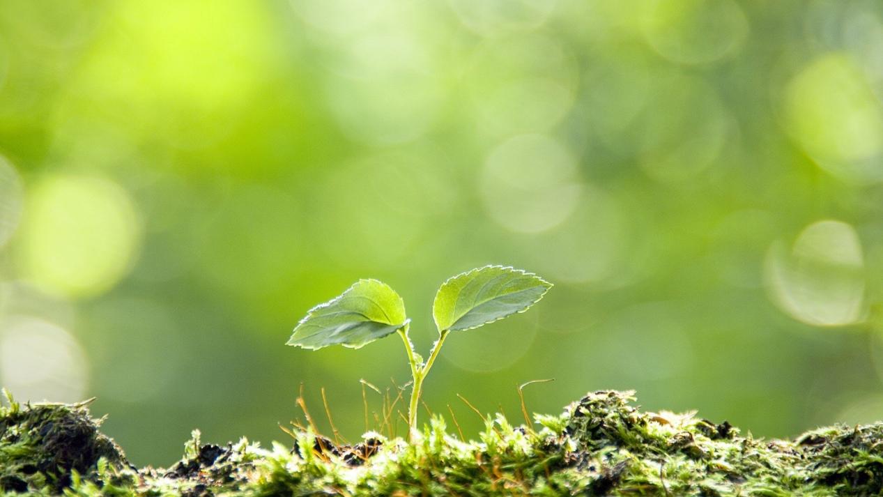 心理测试:看图片凭感觉选择,测你的女人味吸引了几个人