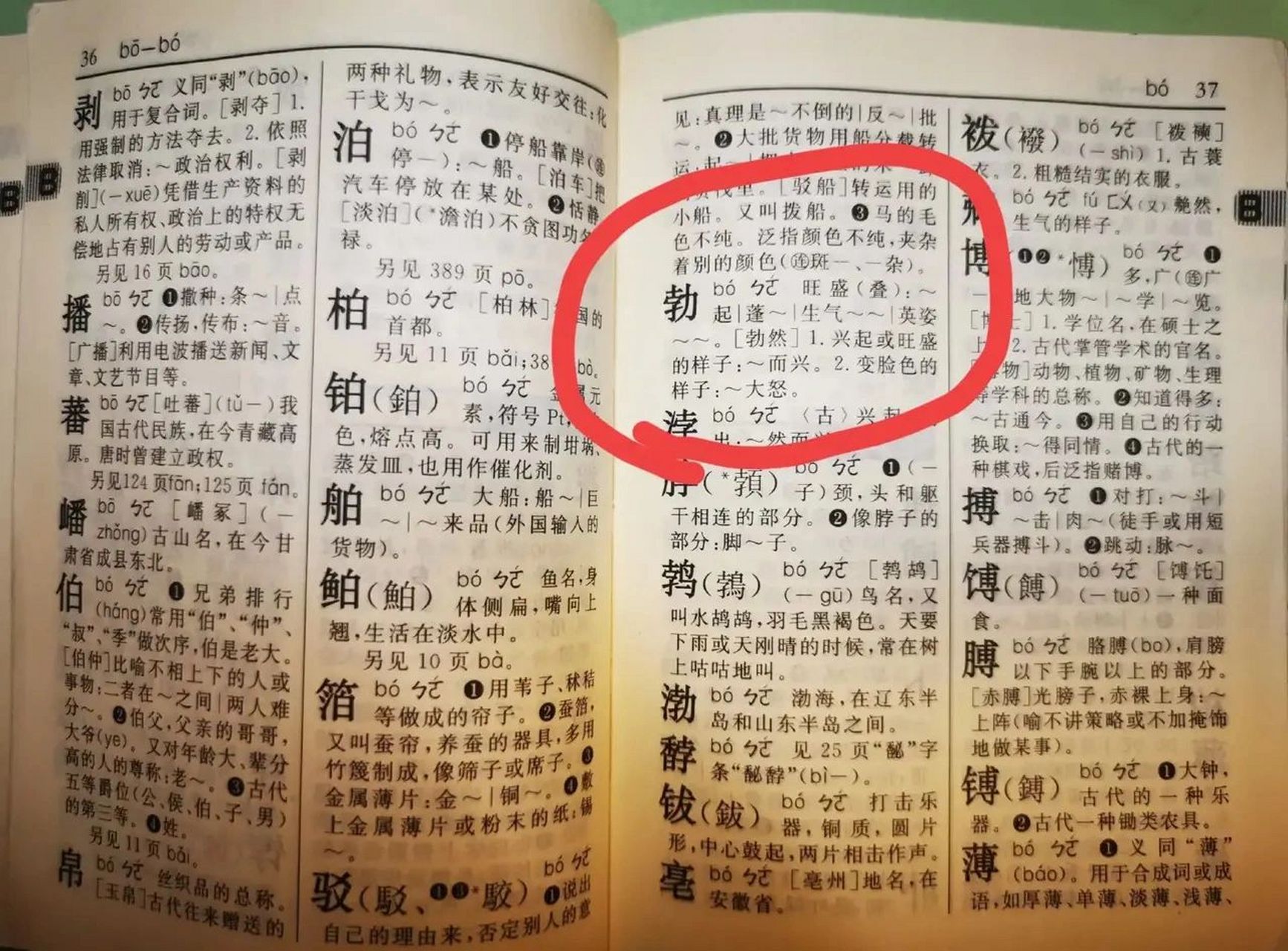 今天孩子用"勃"组几个词,不太会,我让她自己查字典,然后她问我" bo 起