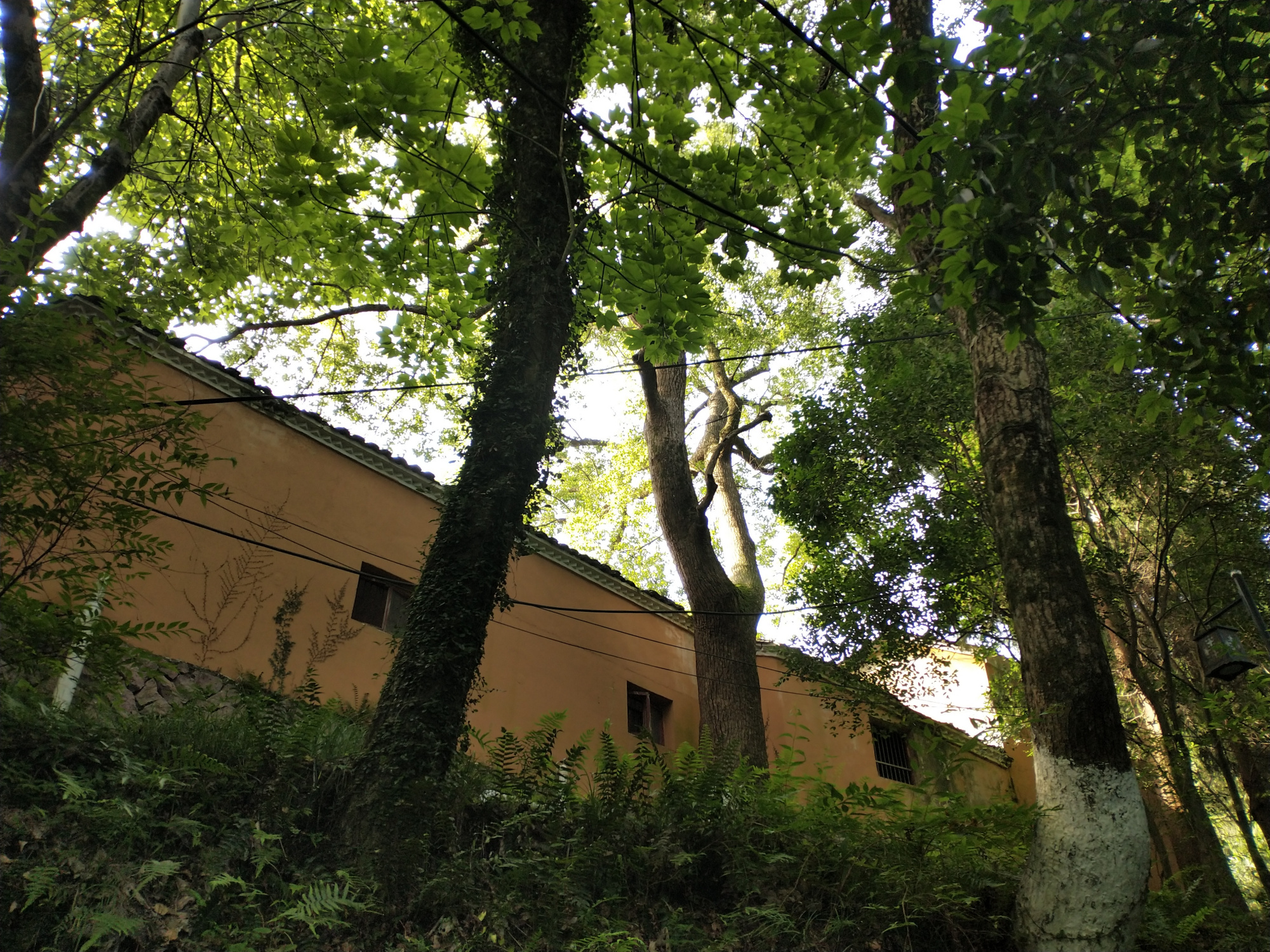 仙居老八景之——南峰钓艇