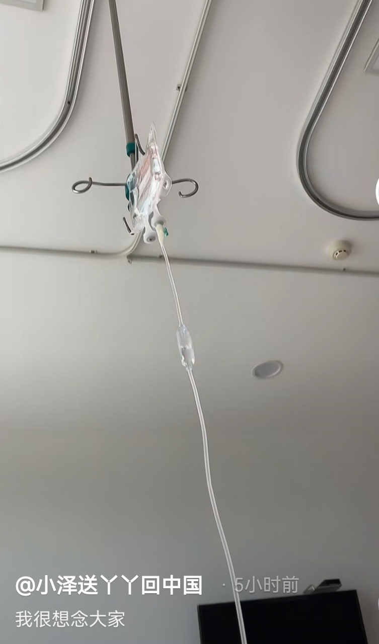 守护丫丫的小泽回国了,在医院住院打点滴,他很想念大家,祝小泽早日