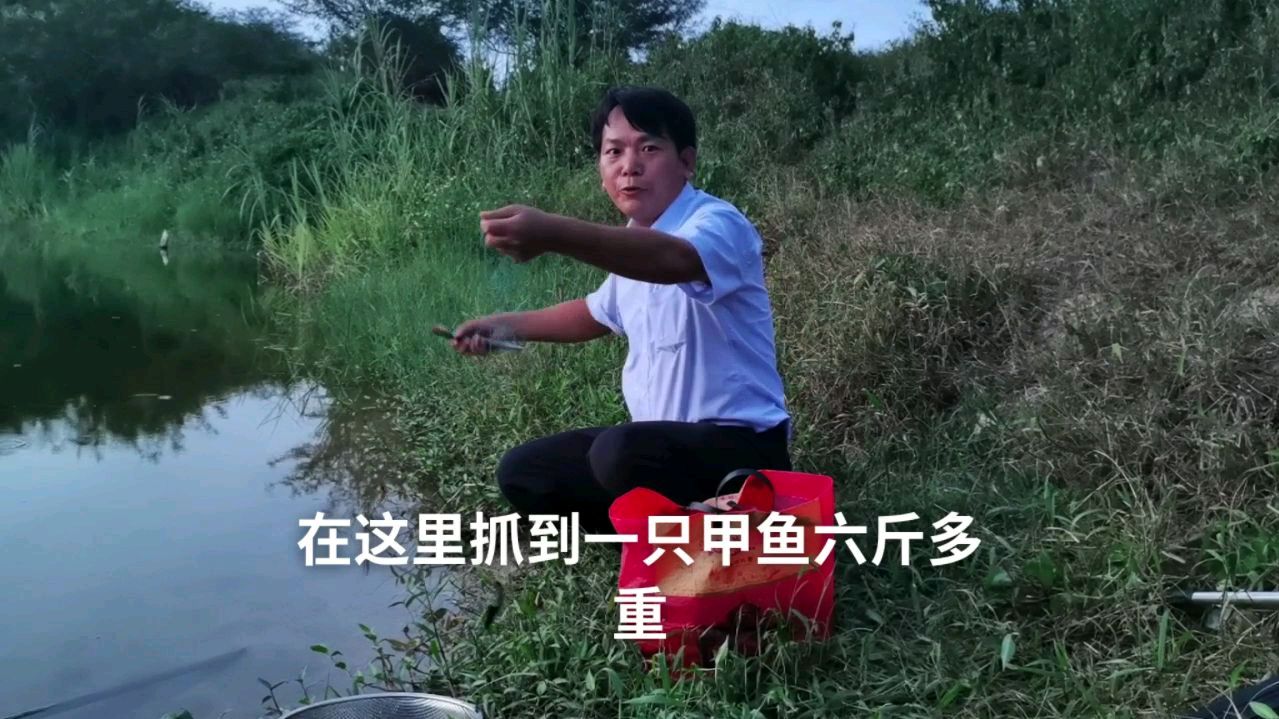 回应网友钓甲鱼的方法,用甲鱼钓挂猪肝放夜钓效果好
