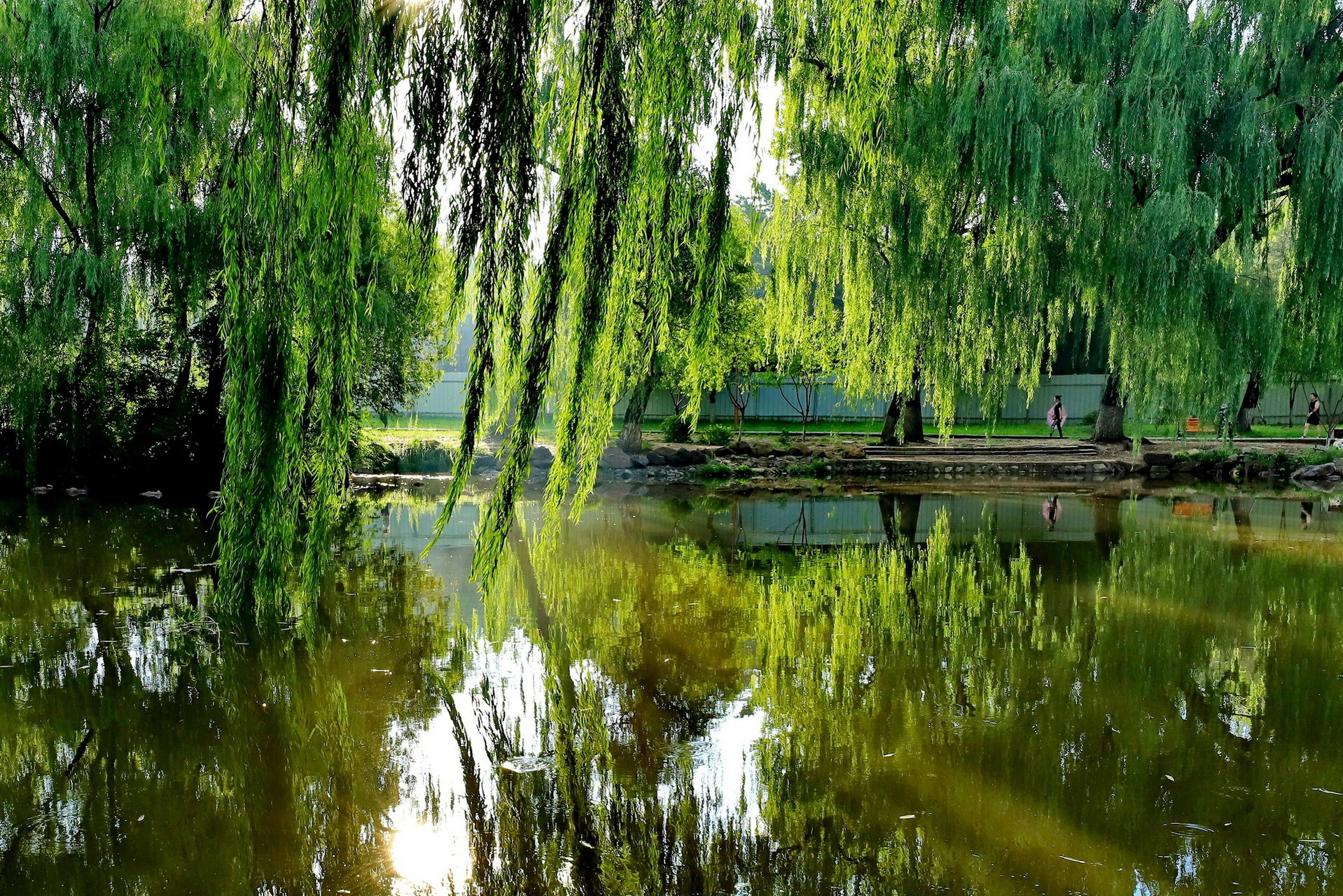 盛夏风景# 徒步旅行,走进大自然,融入其中,与花草共舞,与山水同乐.