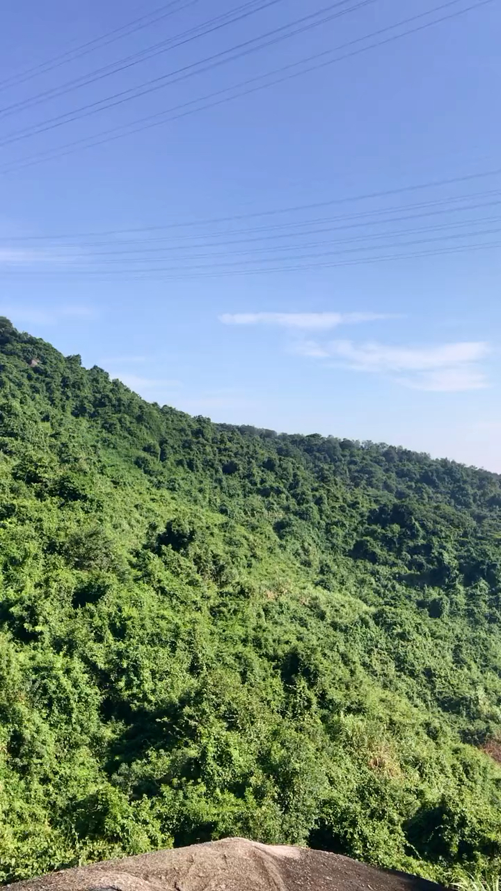 爬山看美景,深圳龙华羊台山