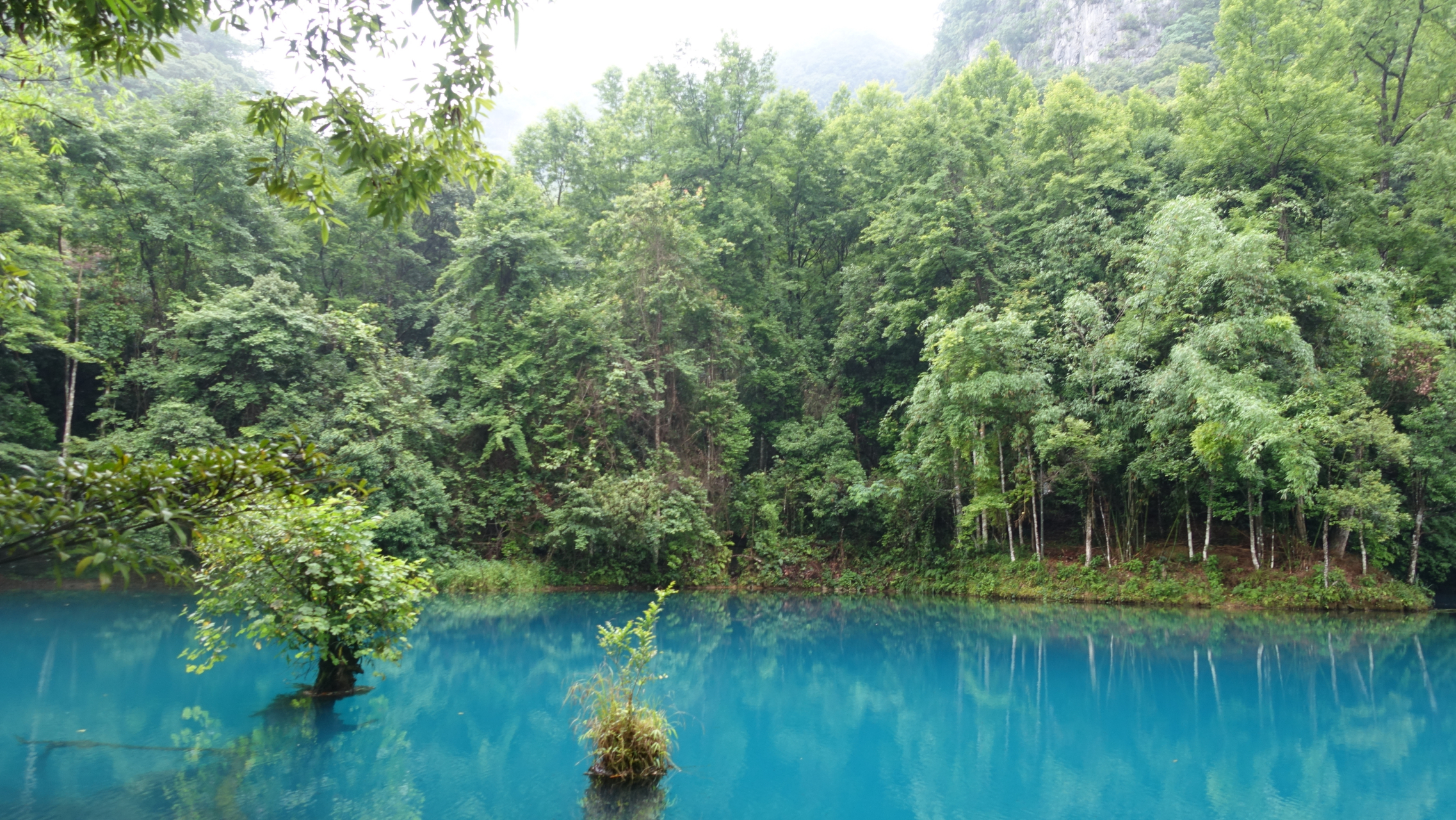 小九寨沟——卧龙潭 卧龙潭位于贵州省荔波县的小七孔景区内.