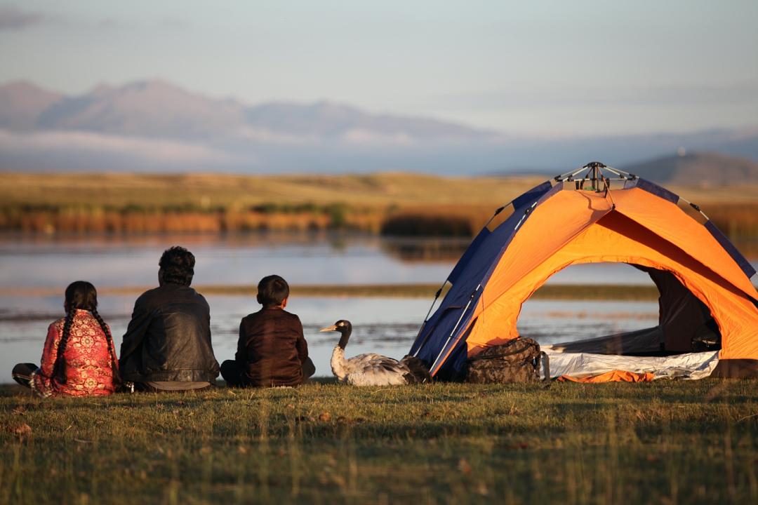 《千里送鹤》的全部图片剧照