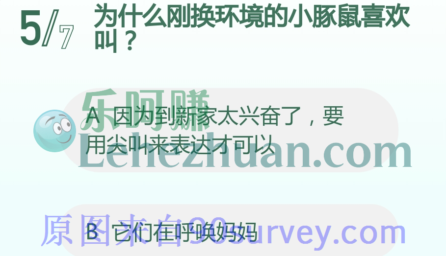 刚换环境的小豚鼠不停的叫是在呼唤妈妈 刚换环境的小豚鼠不停的叫是在呼唤妈妈
