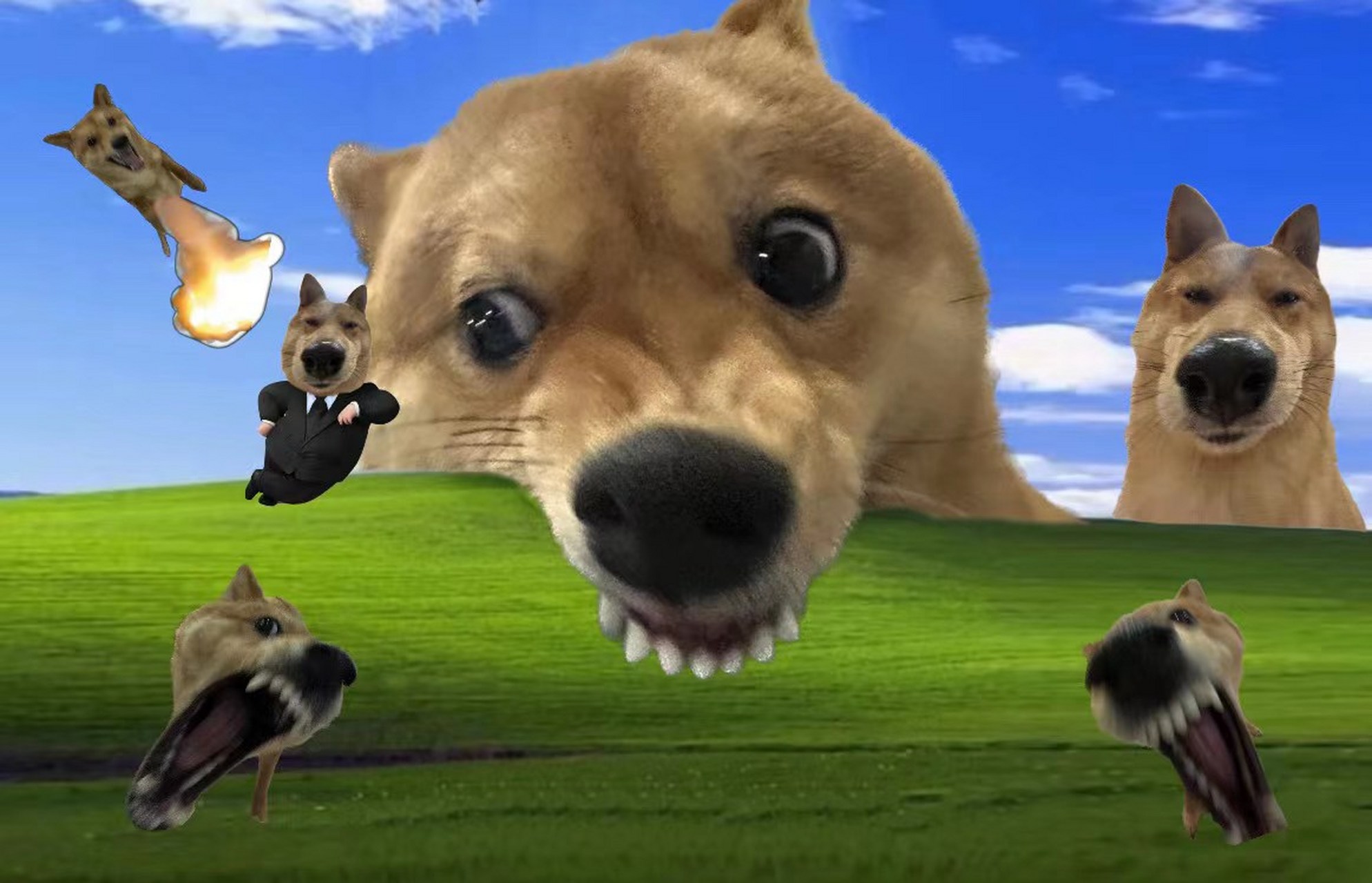 打工人的壁纸!让人知道我多抓狂![发怒][发怒][发怒][发怒] #打工 