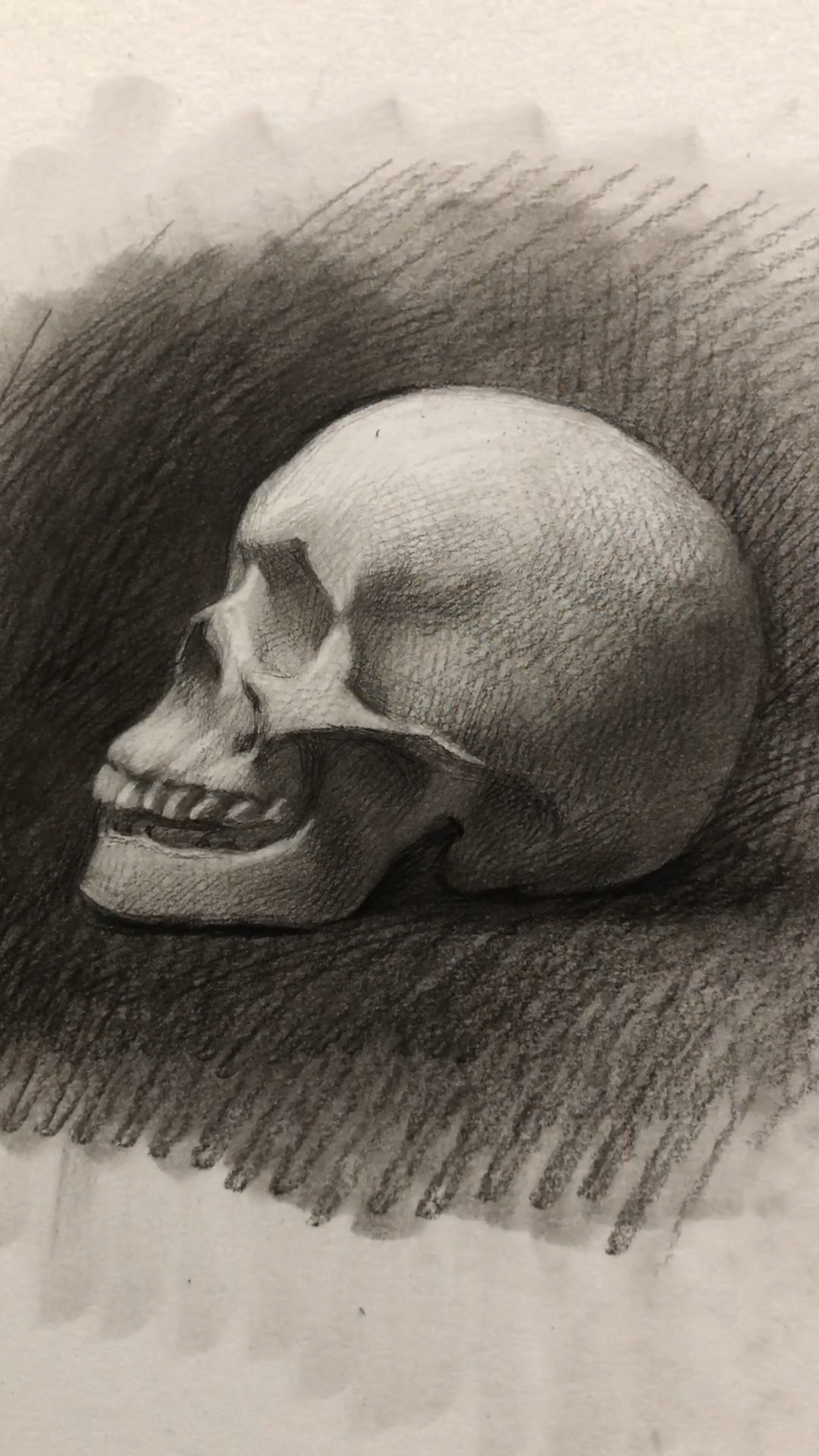 头骨素描示范