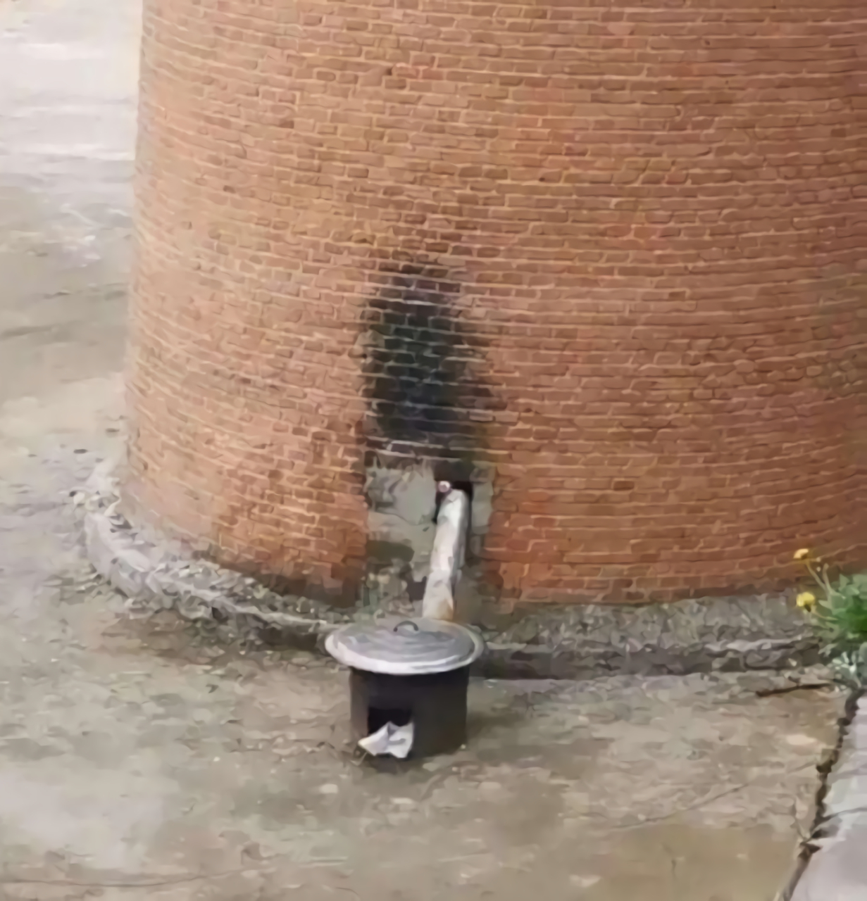 《小马拉大车》