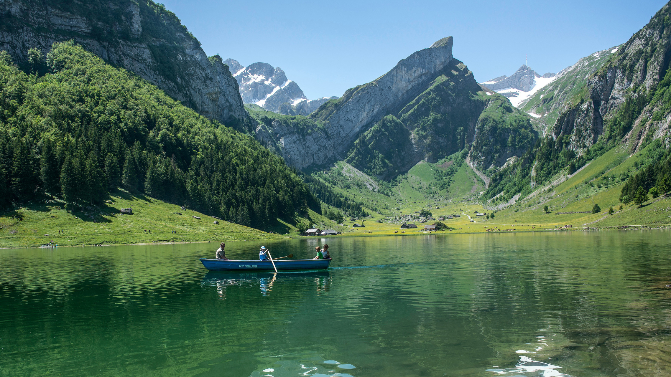 新的电脑ipad壁纸 #绘画欣赏