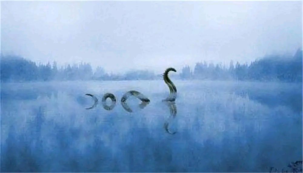 28年仅出现过3次!神秘消失的青海湖"水怪",是何生物仍是谜