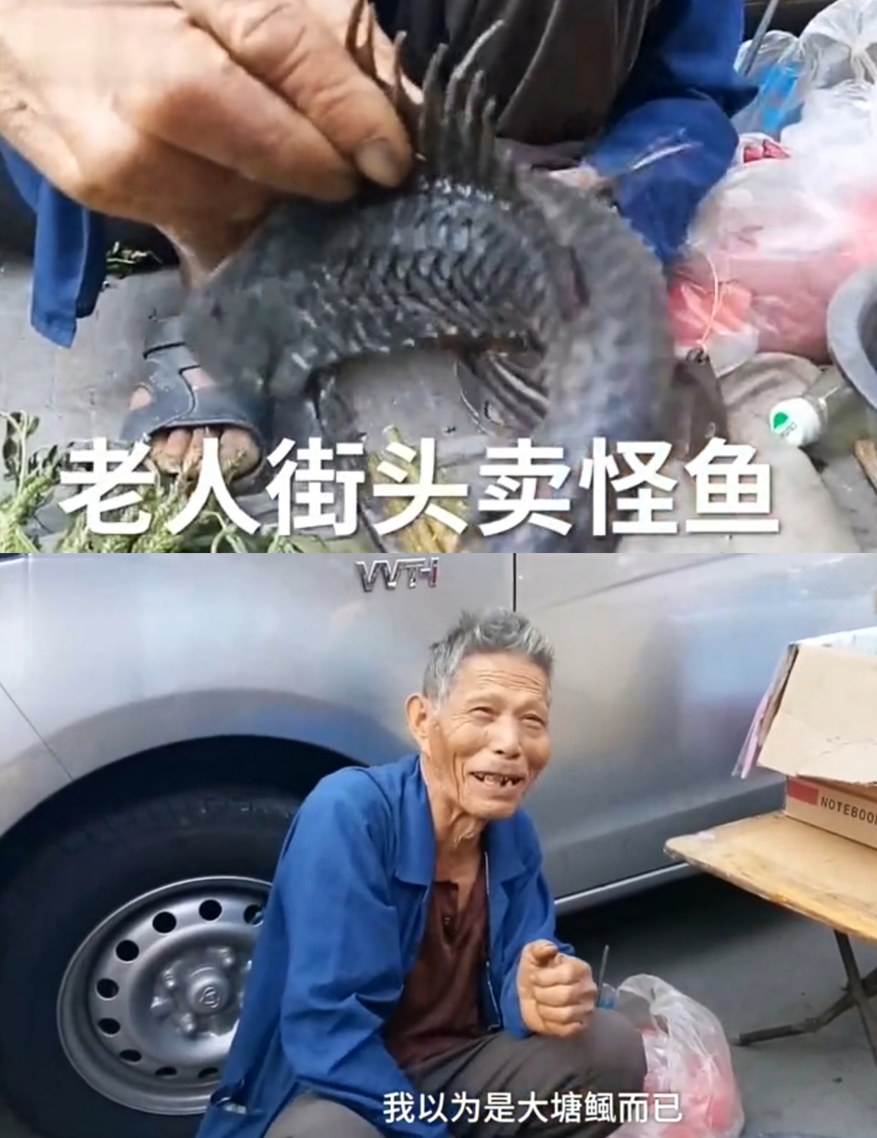 网曝广东一大爷路边摆卖"清道夫",围观者炸锅了:这鱼能吃吗?