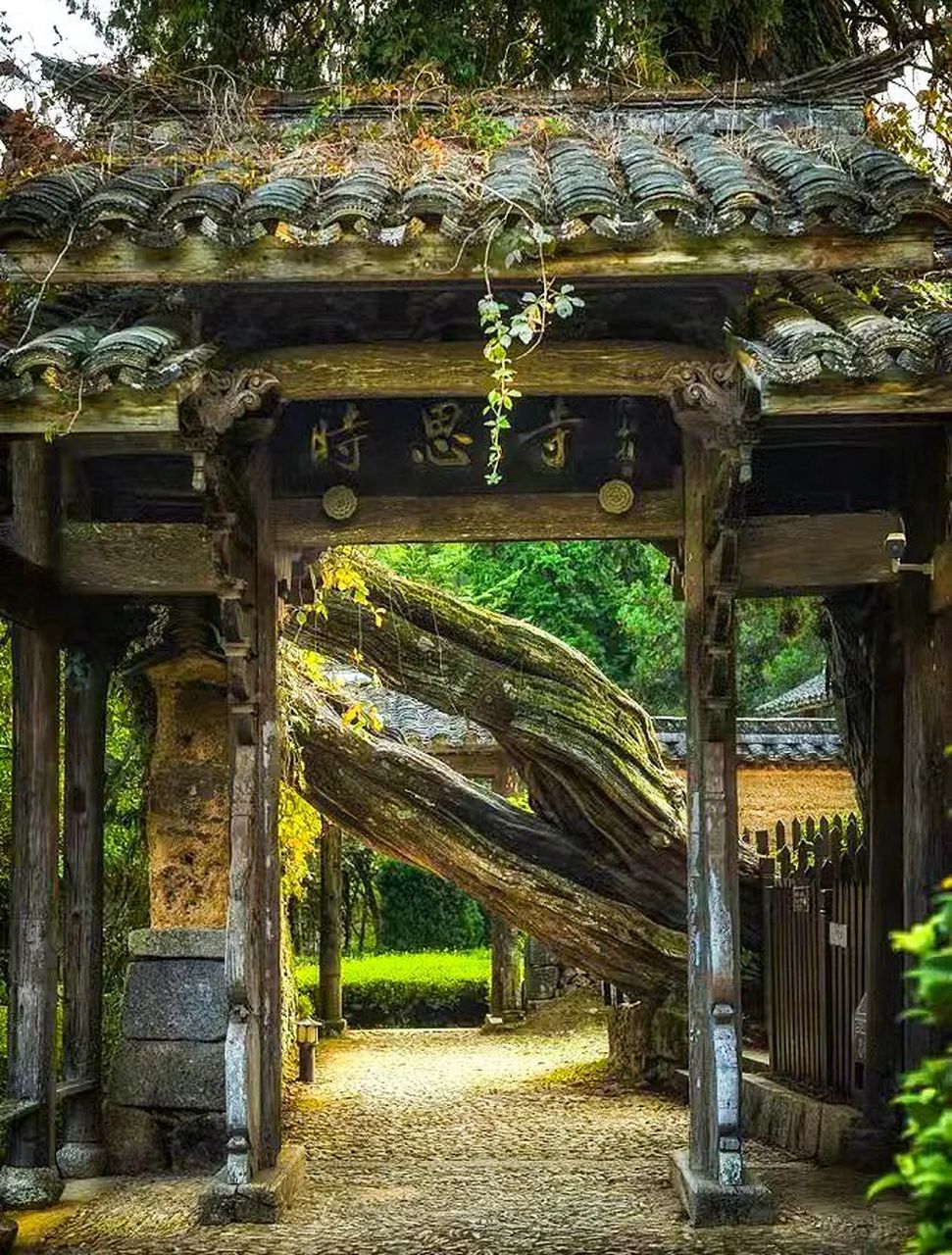 乐享周末分享吧# 大漈村隶属浙江省丽水市景宁县大漈乡,为乡政府所在