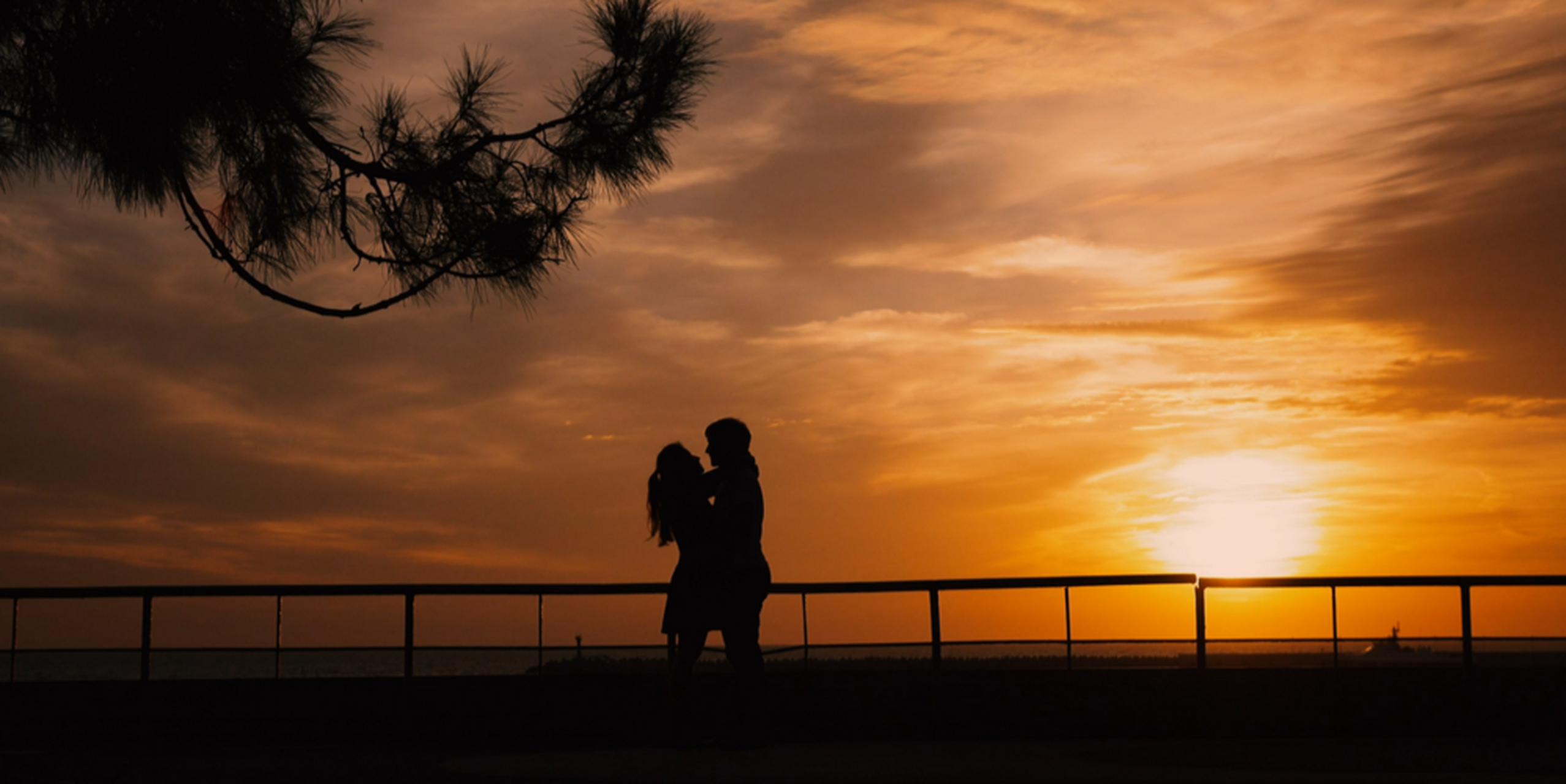 爱人爱己,同乐共伤.愿意付出,不求补偿.积极面对,渐行渐长.