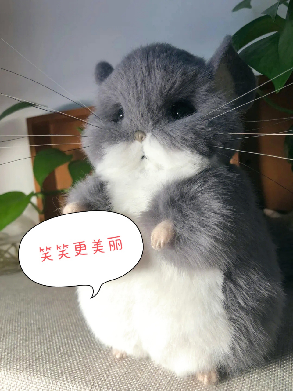 这只龙猫好萌,好可爱啊,想不想抱一个回去?#趣图搞笑