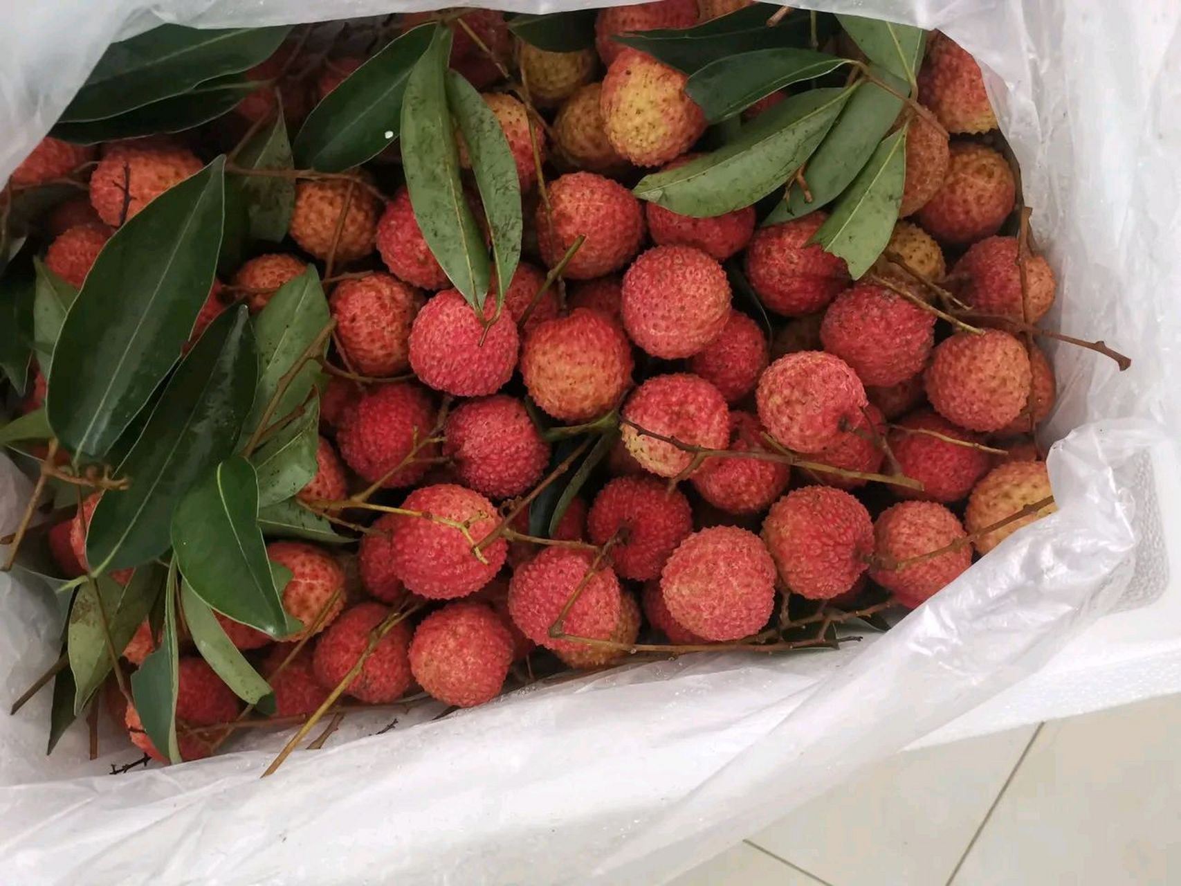 下午的时候爸妈在家,收到了一箱荔枝,他们以为是妹妹寄的,直接拆开来