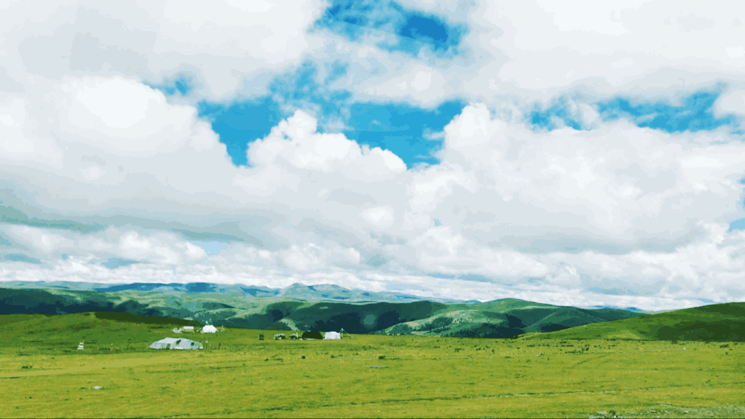 1080_608gif 动态图 动图