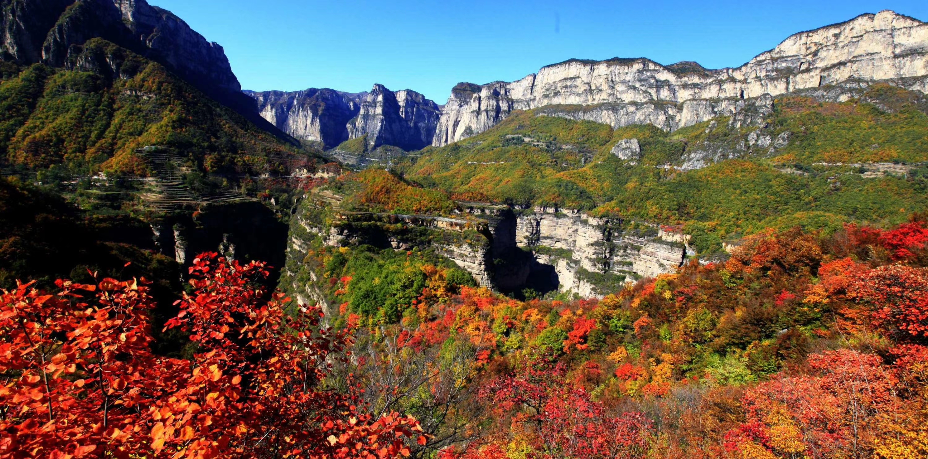 太行大峡谷红叶