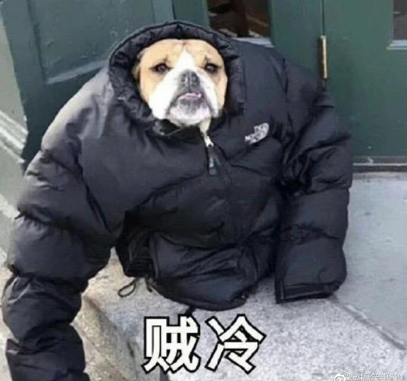 才十月就已经裹着棉袄了,谁懂啊!#搞笑