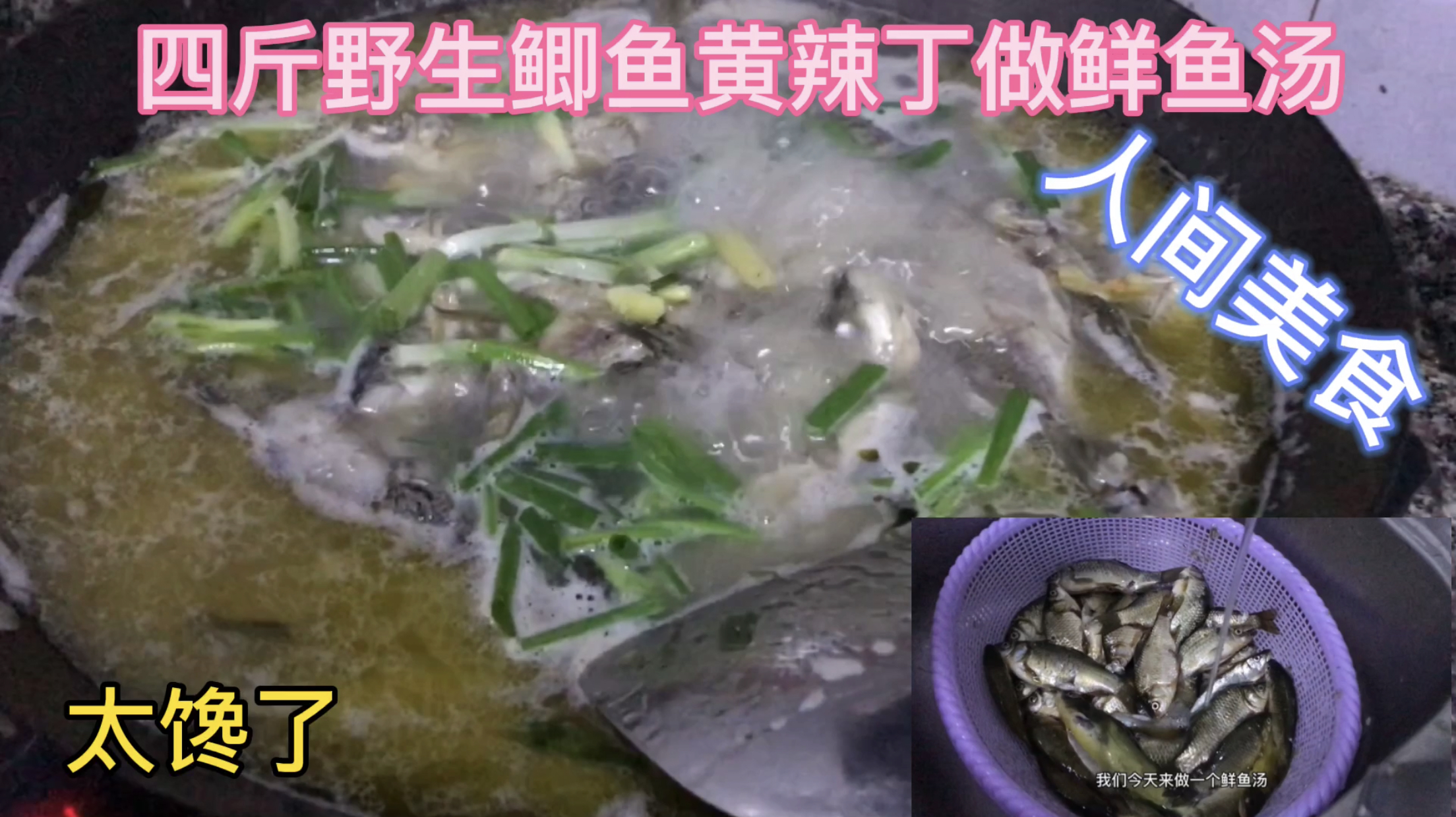 野钓四斤野生鲫鱼黄辣丁给女朋友做鲜鱼汤,怎么做才好吃?太馋了