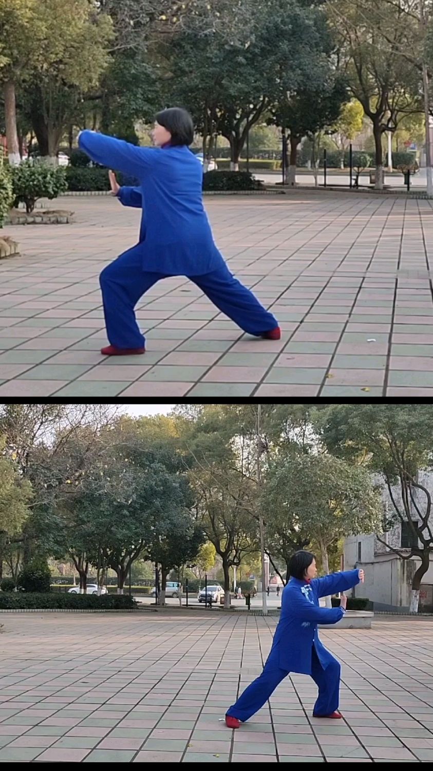 陈氏太极拳老架一路正反面动作分段练习