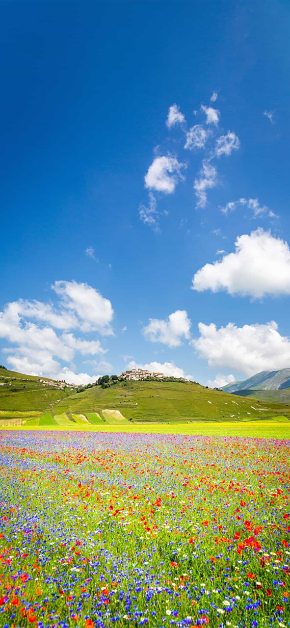 591_1280竖版 竖屏