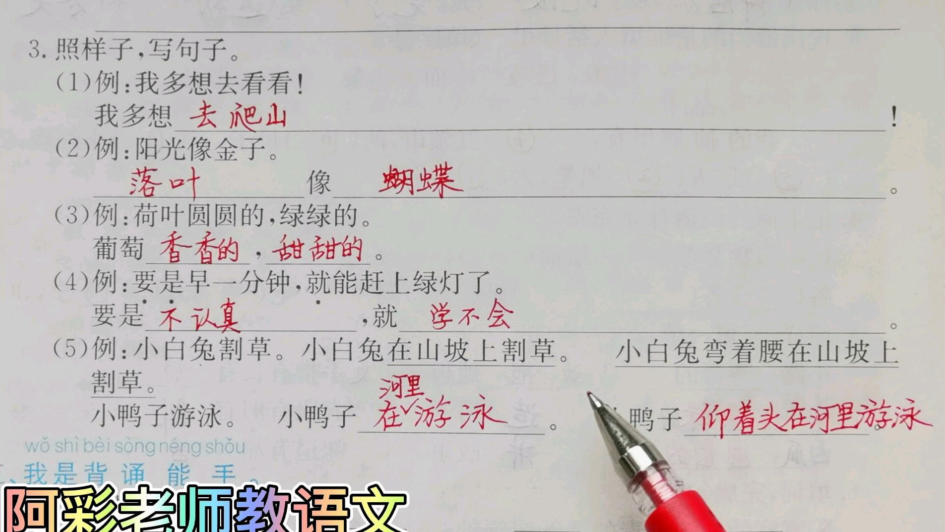 小学语文一年级句子训练,学着写一写,看我像不像