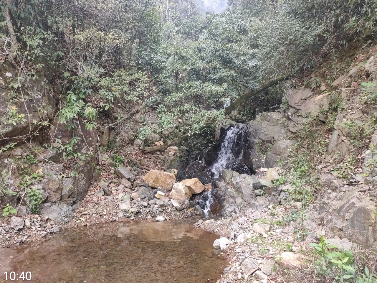 203~205,2021年清远连山县大雾山,政岐山,红泥埒三峰连登