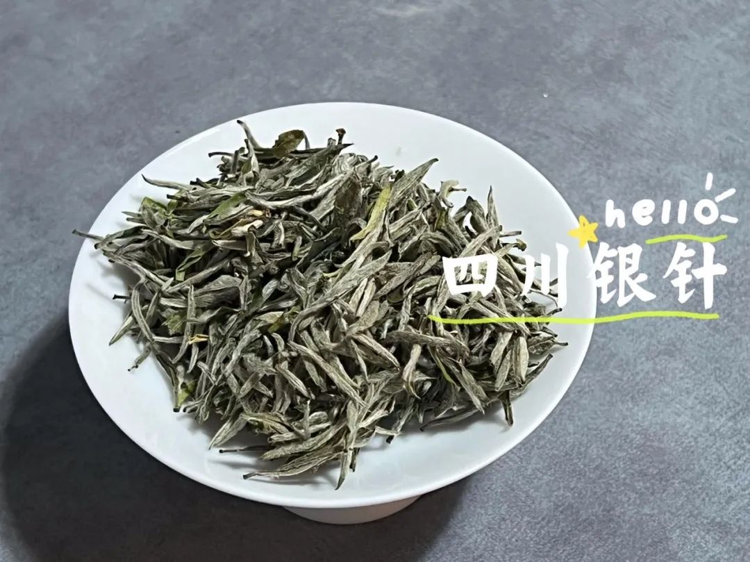 四川雅安白茶和福鼎白茶的区别?