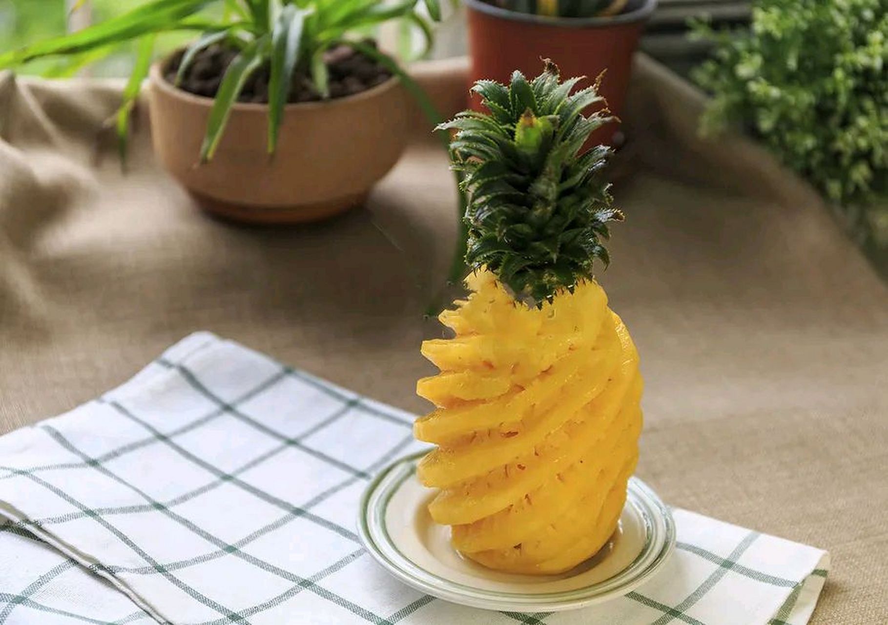 难怪吃菠萝嘴巴疼# 菠萝中的草酸钙针晶会导致口腔出现刺痛感,还含有