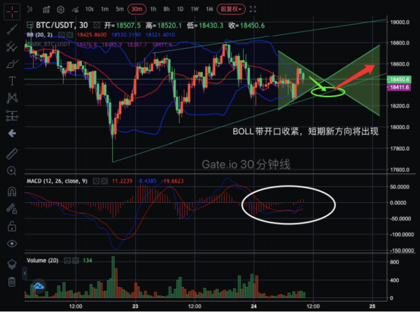 【合约日报】加密市场牛市全面启动！这么疯的XRP应该很多人买吧