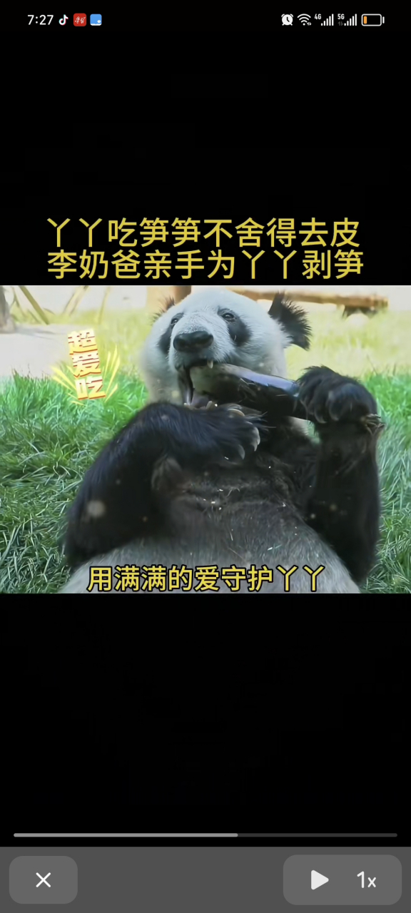 丫丫回来前后变化多明显啊,看着就开心.