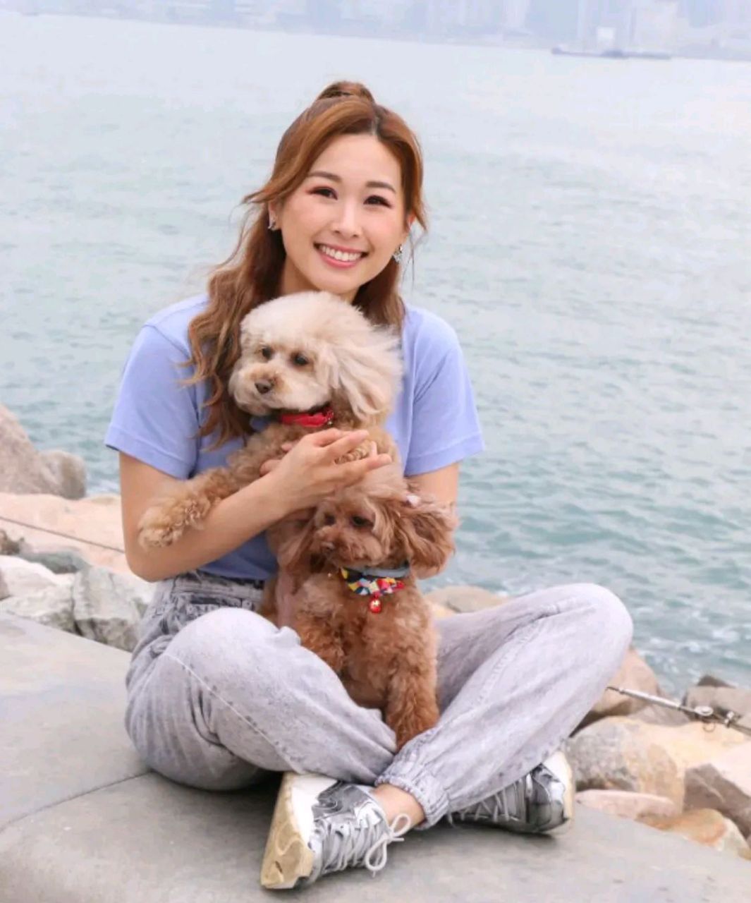 有着tvb小富婆之称的赵希洛亦是爱犬人士,饲养了两只贵妇犬分别是11岁