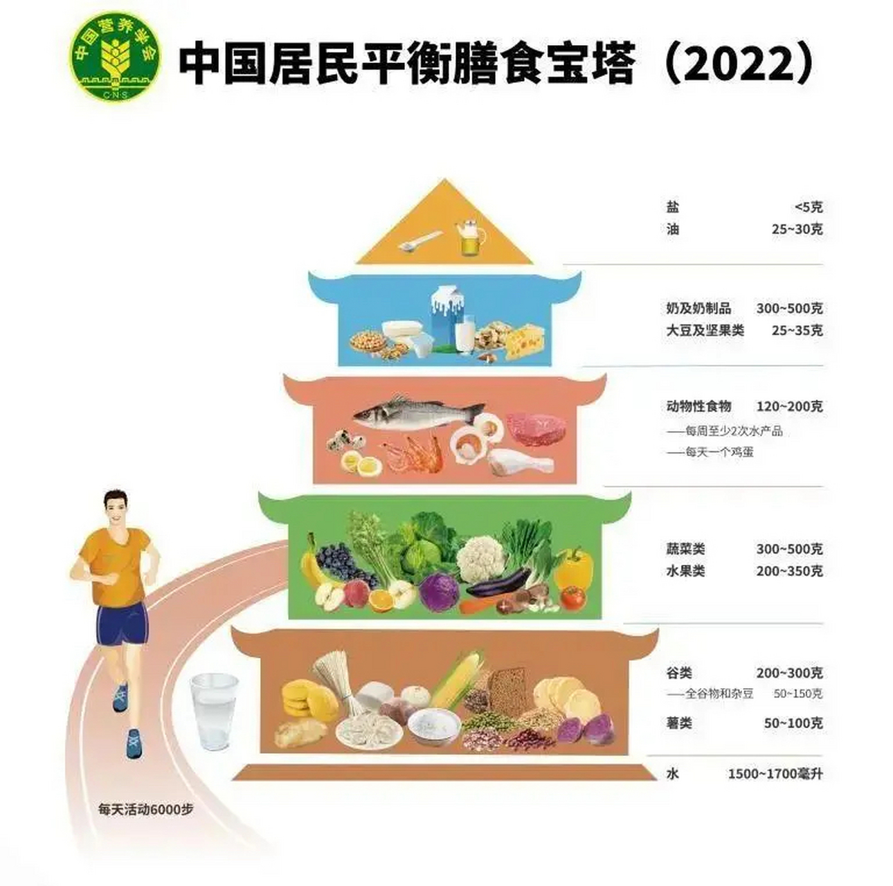 中国膳食金字塔2021图片