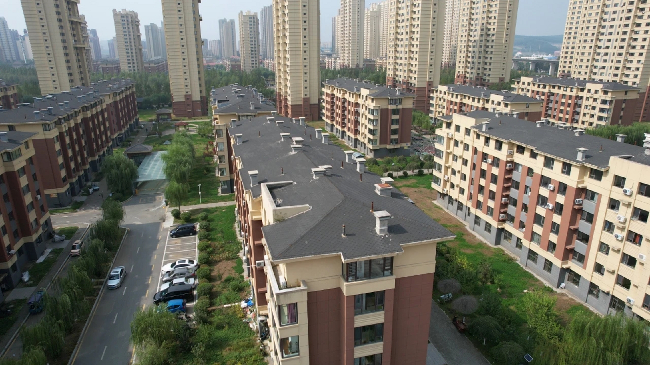 牢记嘱托显担当 首战之年建新功|东华园社区:改善民生福祉 谱写全面