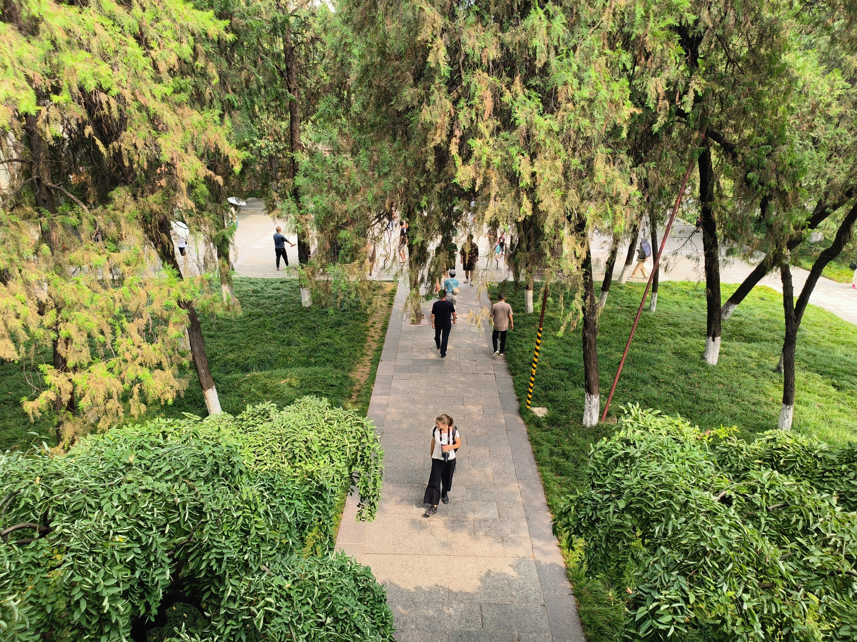 西安市小雁塔景区内的白衣阁松柏环绕,四周芳草萋萋,一幅初秋盛景