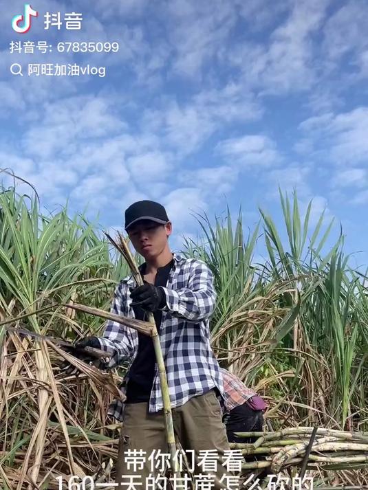 阿旺加油vlog3