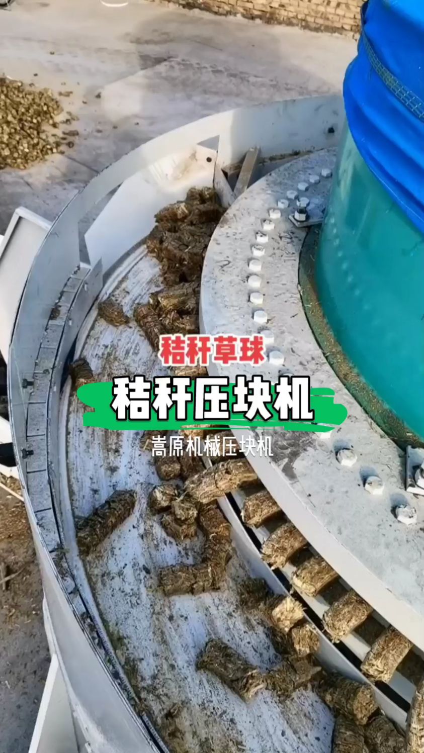 棉花秆豆秆玉米秸秆利用秸秆压块机可做草球喂牛羊看看出料吧