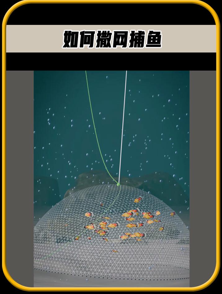 撒网捕鱼,是一种传统的捕鱼方式,怎样才能捕到更多的鱼呢